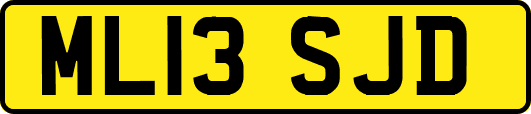 ML13SJD