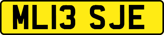 ML13SJE