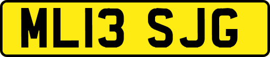 ML13SJG