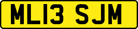 ML13SJM