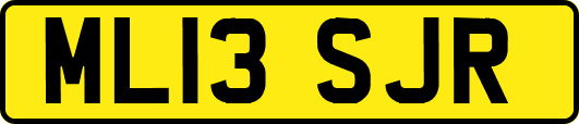 ML13SJR