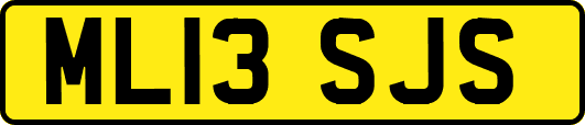 ML13SJS
