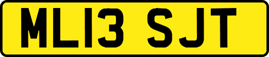 ML13SJT