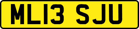 ML13SJU