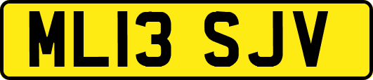ML13SJV