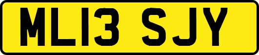 ML13SJY