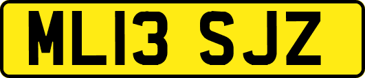 ML13SJZ