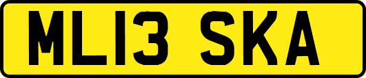 ML13SKA