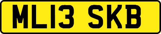 ML13SKB