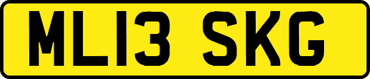 ML13SKG
