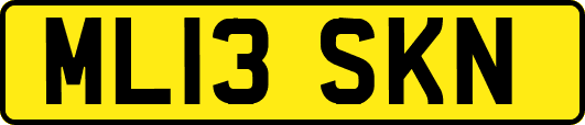 ML13SKN