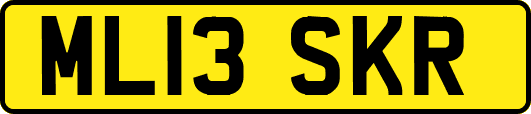 ML13SKR
