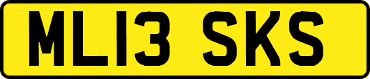 ML13SKS
