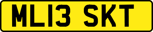 ML13SKT