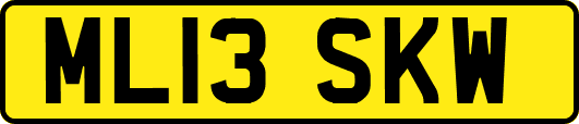 ML13SKW