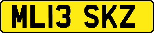 ML13SKZ