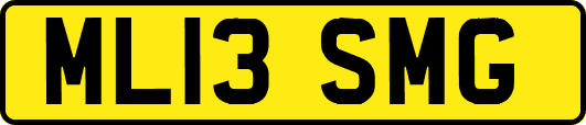 ML13SMG
