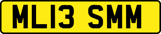 ML13SMM