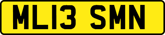 ML13SMN