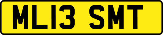 ML13SMT
