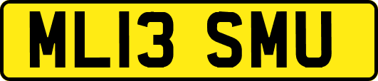 ML13SMU