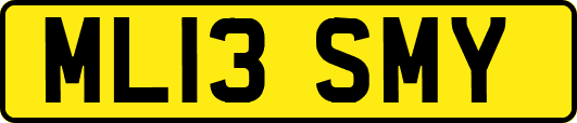 ML13SMY