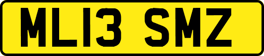 ML13SMZ