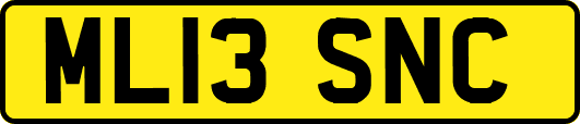 ML13SNC