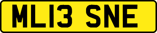 ML13SNE