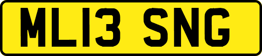 ML13SNG