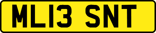 ML13SNT