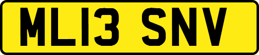 ML13SNV