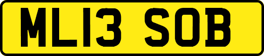 ML13SOB