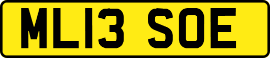 ML13SOE