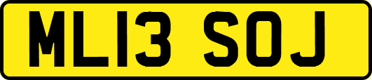 ML13SOJ