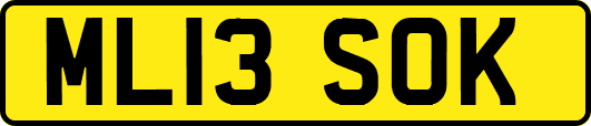 ML13SOK