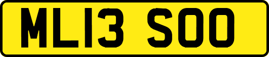 ML13SOO