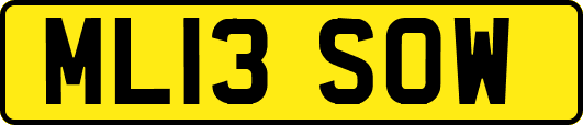 ML13SOW