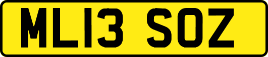 ML13SOZ