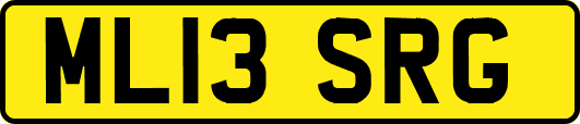 ML13SRG