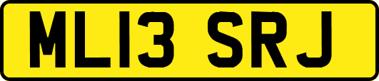 ML13SRJ