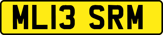 ML13SRM