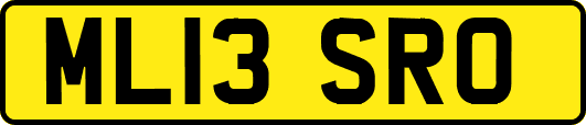 ML13SRO