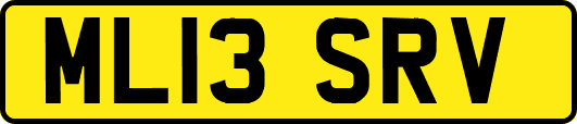 ML13SRV