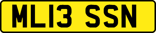ML13SSN