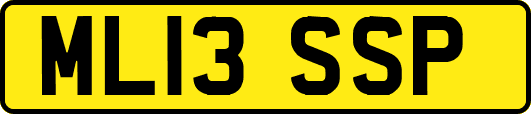 ML13SSP