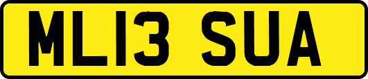 ML13SUA