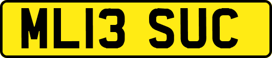ML13SUC