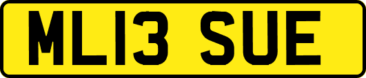 ML13SUE