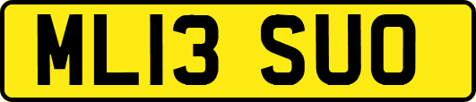 ML13SUO